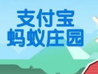 螞蟻莊園怎么防止搶食？支付寶螞蟻莊園怎么養(yǎng)小雞？